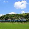 Photos: 初夏の鉄路