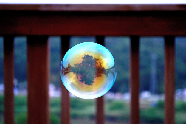 Photos: シンメトリー泡の鏡の世界