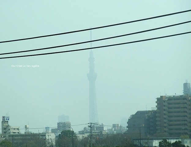2013年3月10日sun煙霧のスカイツリー。