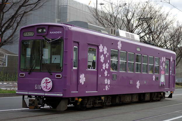 Photos: 桜電車