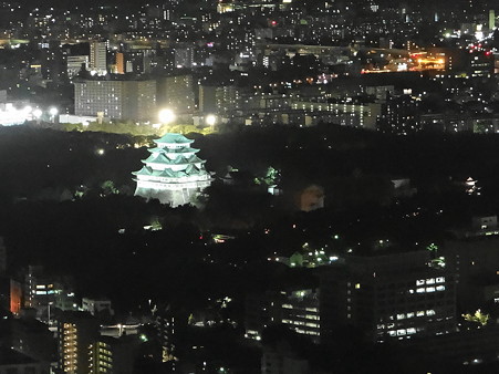 夜の名古屋城