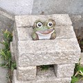 Photos: きたまちの蛙