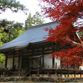 秋彩の神護寺