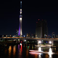 東京の夜物語