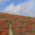 紅葉盛りの登山道