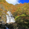 Photos: 彩りの白糸の滝