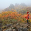 栗駒山の美妙な紅葉