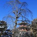 三重塔の雪景色