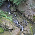 Photos: 三筋の滝