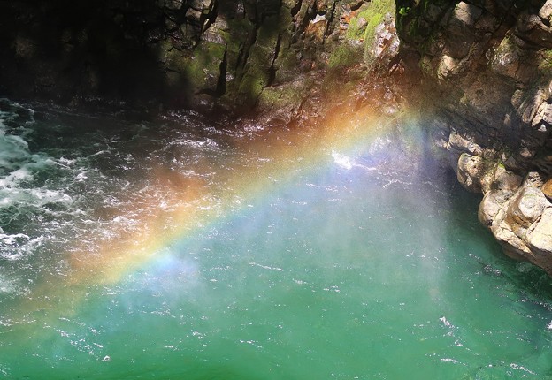 滝壺の虹