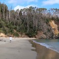 Photos: 津波の爪痕残る浜辺
