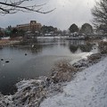 Photos: 雪舞う天沼公園