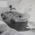 Photos: 雪に覆われた渓谷