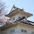 Photos: 仙台城桜の季節