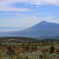Photos: 南部富士の岩手山