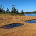 Photos: 草紅葉の池塘と沼