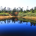 静寂の青い池