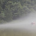 Photos: 霧立ち込める霧幻峡
