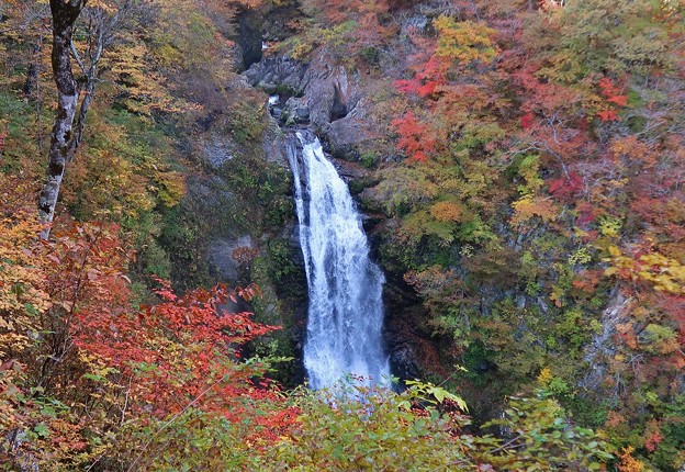 Photos: 紅葉の秋保大滝