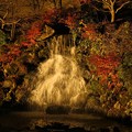 夜のきよ水の滝