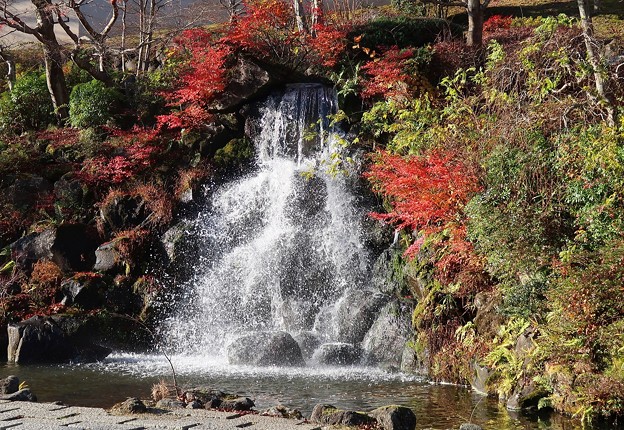 Photos: 朝のきよ水の滝