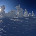 Photos: 蔵王の樹氷