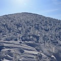 Photos: 壮大な樹氷群