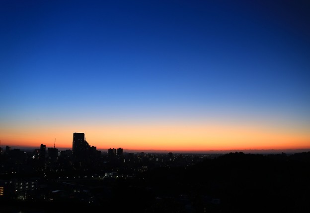 Photos: 夜明けの仙台