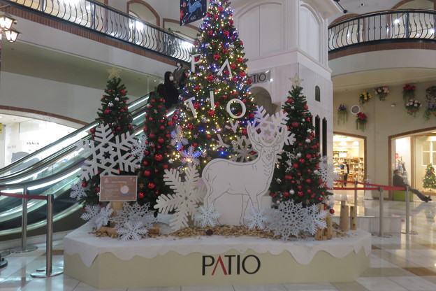 須磨パティオのクリスマスツリー_01