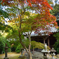 Photos: 秋の成相寺