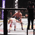 Photos: UFC JAPAN 2013　さいたまスーパーアリーナ　20130303  (24)