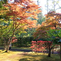 Photos: 藤田記念庭園・紅葉02-12.10.27