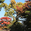 Photos: 藤田記念庭園・紅葉01-12.10.27