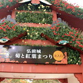 弘前城菊ともみじ祭・北出入口01-12.11.05