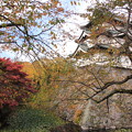 Photos: 弘前城と紅葉01-12.11.05