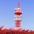 Photos: 桜の紅葉と電波塔