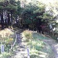 Photos: 1409枚岡神社創祀の地