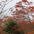 20121011　石鎚山　紅葉はきれいだけど