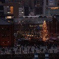 Photos: 赤レンガクリスマスツリー131224