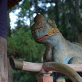 Photos: 野川弁財天の木彫り狛犬-吽形