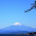 131129_稲村が崎からの富士山(SL) (13)