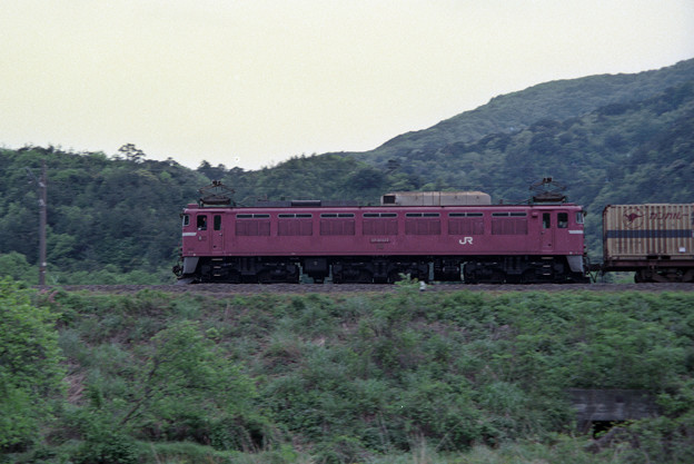 （再スキャン）1990年　EF81　137号機牽引貨物列車