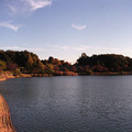 Photos: 【ネガ】公園池