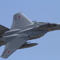 F-15J ガバッ･･･ト 203sq 2013.07