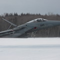 Photos: F-15J 雪ノ中