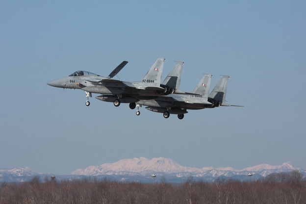 Photos: F-15J Formation Landing 203sq