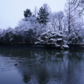 Photos: 雪の武蔵関公園 ３