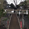 Photos: 品川神社（北品川3丁目）
