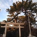 Photos: 寒川神社 三の鳥居（神奈川県高座郡寒川町）