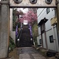 Photos: 北野神社（牛天神。文京区春日）